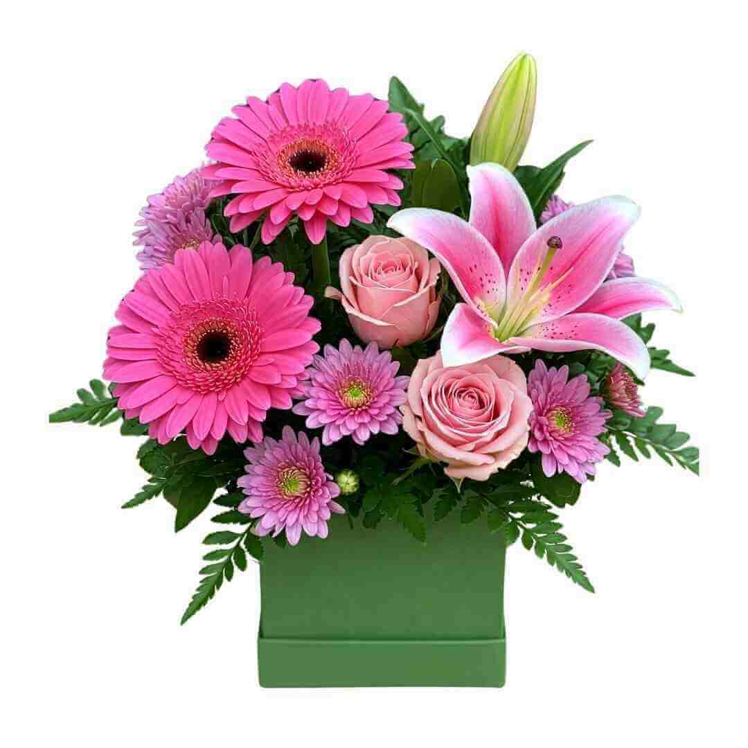 Pinky - Spearwood Florist