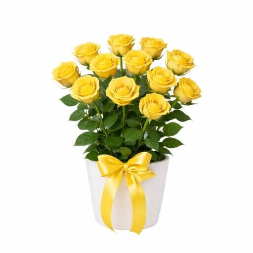 Impulse Yellow - Spearwood Florist