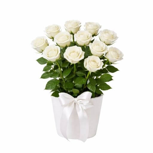 Impulse white - Spearwood Florist