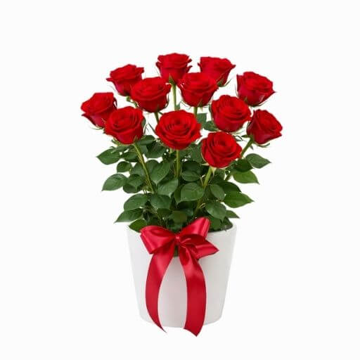 Impulse - red roses arranged in a white container