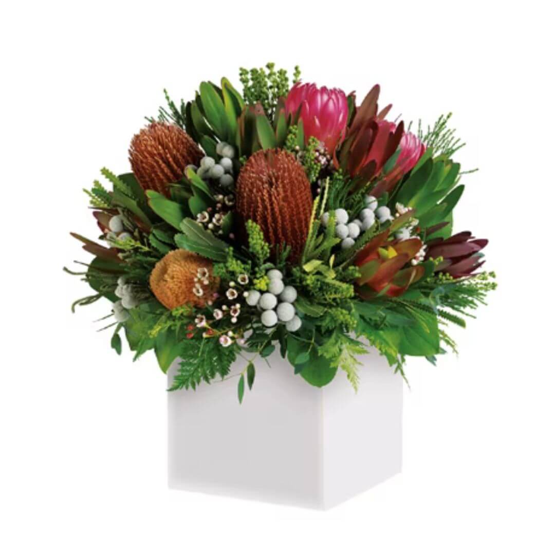 Salamanca - Native flowers arranged in a white container