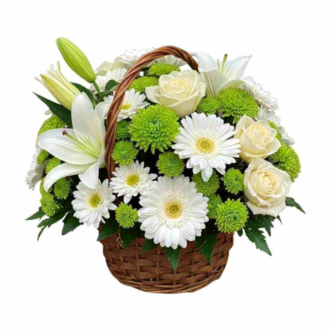 Comfort - Spearwood Florist