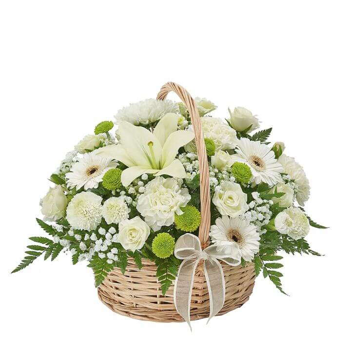 Comfort - Spearwood Florist