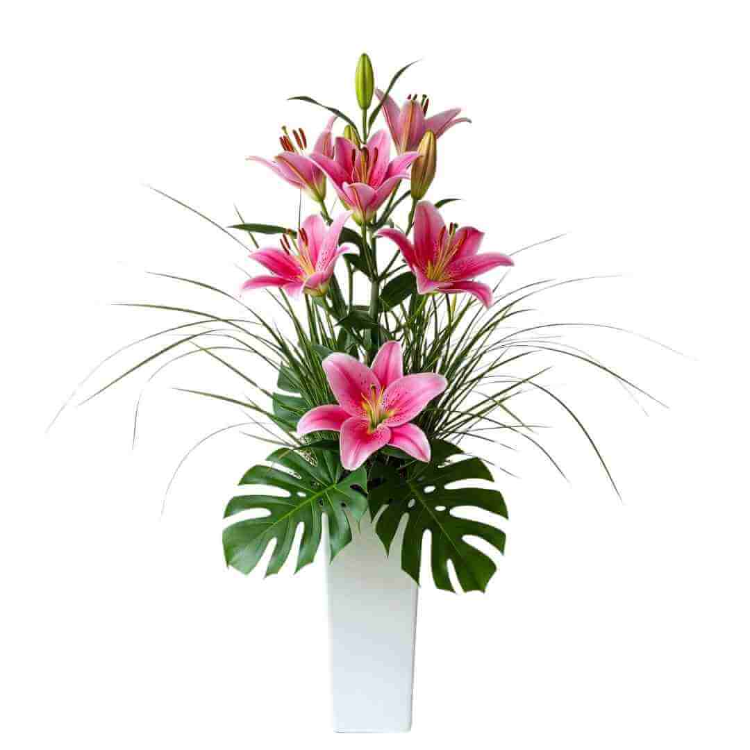 Panache - pink lilies arranged in a tall ceramic pot