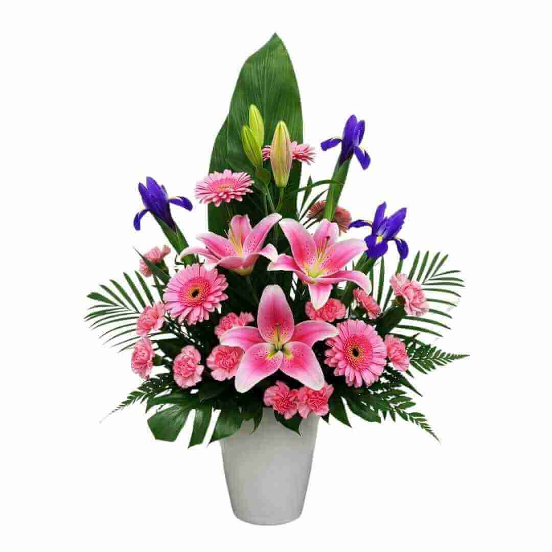 Executive - Spearwood Florist