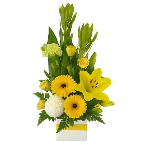 Well Wishes - Spearwood Florist