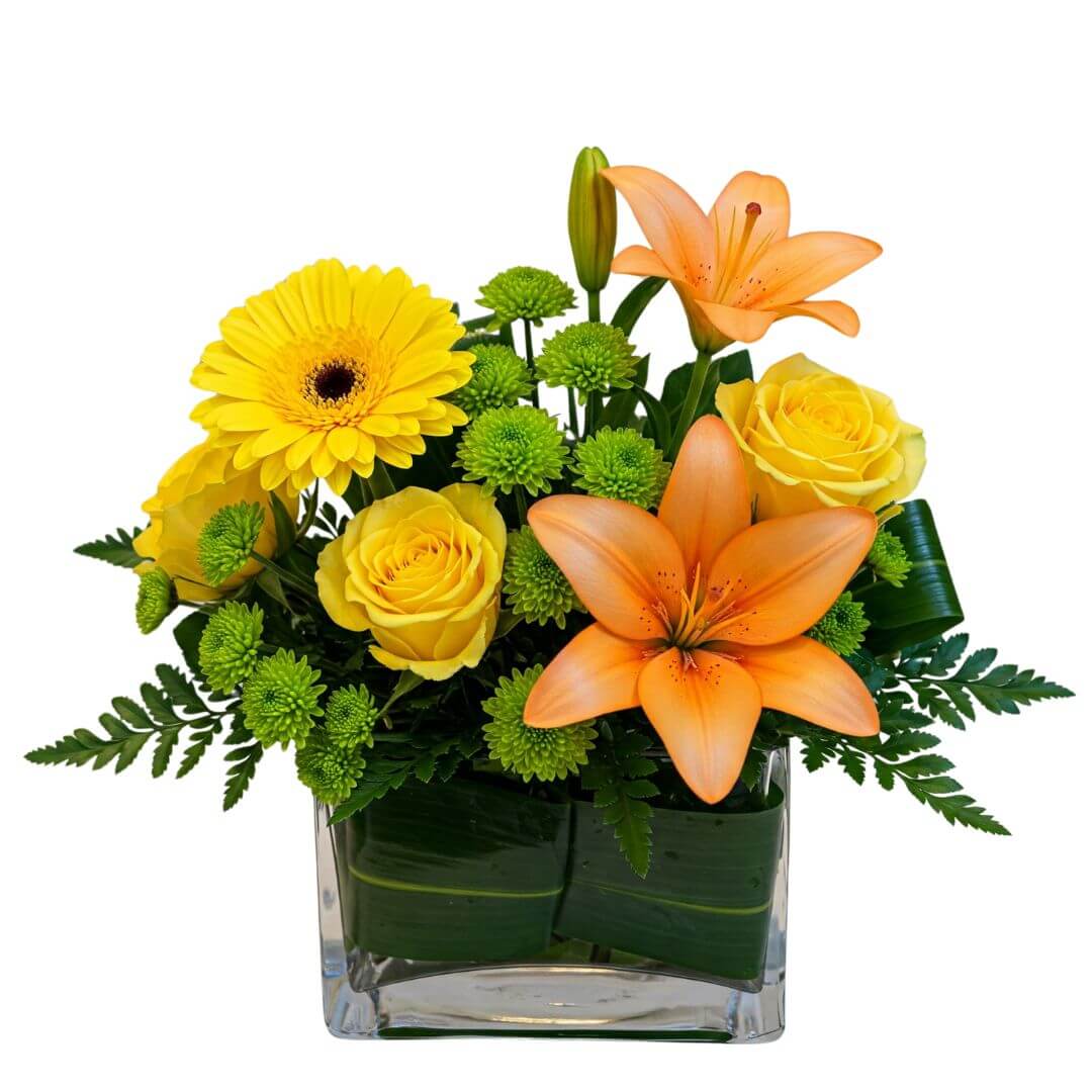 Rhapsody - Spearwood Florist