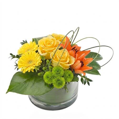 Rhapsody - Spearwood Florist