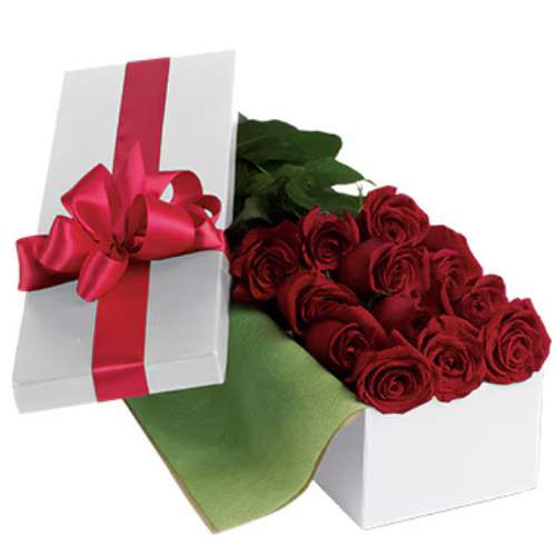 12 long stems red roses in a presentation box