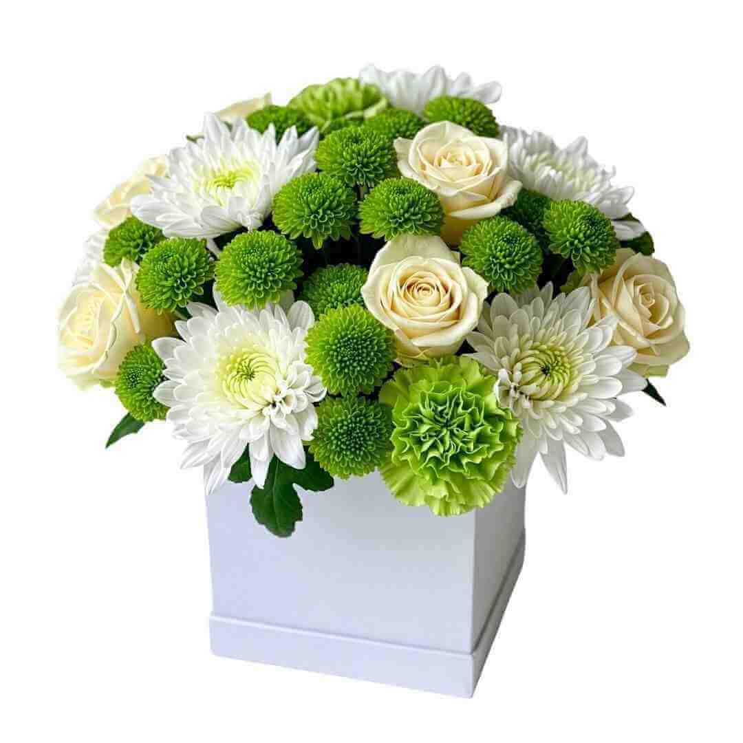 Avocado - Spearwood Florist