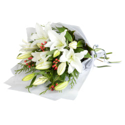 Christmas Lily - Spearwood Florist