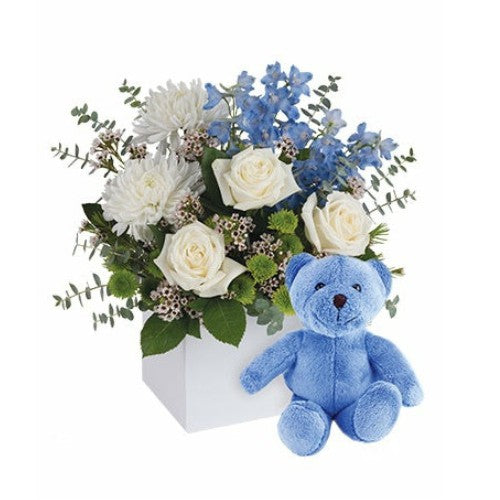 Celebrating Baby Boy with Teddy - Spearwood Florist
