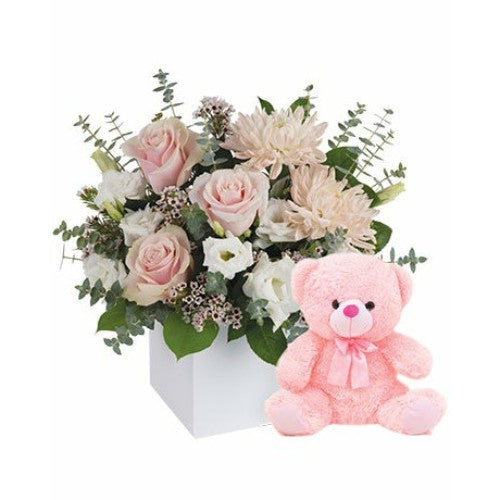 Celebrating Baby Girl with Teddy - Spearwood Florist