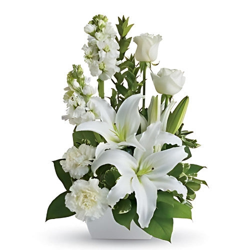 White Simplicity - Spearwood Florist