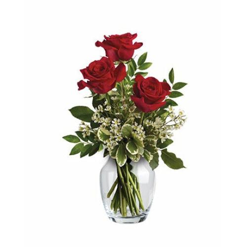 Thinking of You Roses - three red roses in vase