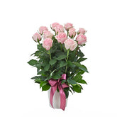 Impulse Pink - Spearwood Florist