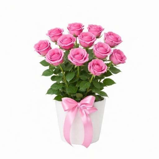 Impulse Pink - Spearwood Florist