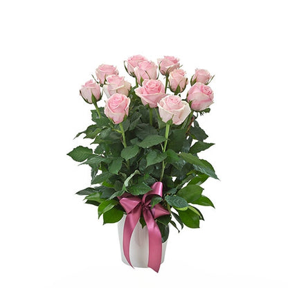 Impulse Pink - Spearwood Florist