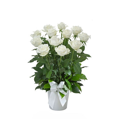 Impulse white - Spearwood Florist