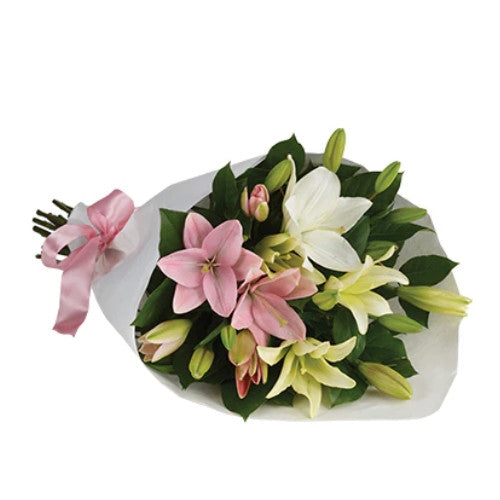 Lily Divine - Spearwood Florist