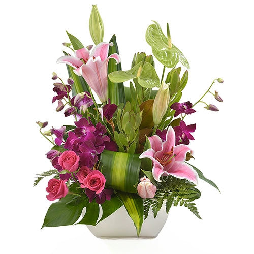 Vibrance - Spearwood Florist