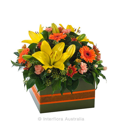 Dazzling - Spearwood Florist