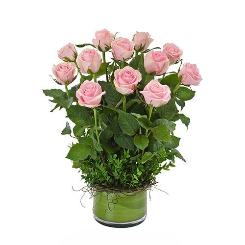 Desire Pink - Spearwood Florist