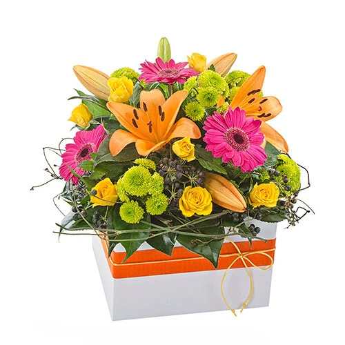 Fiesta - Spearwood Florist