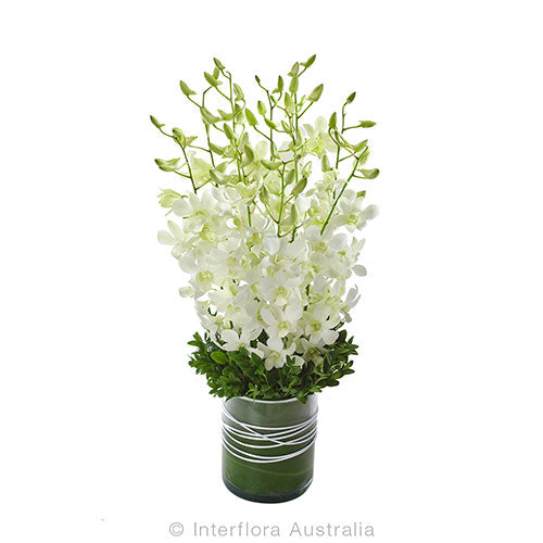 Virtue - Spearwood Florist