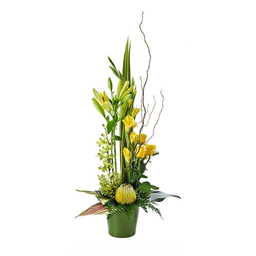 Radiance - Spearwood Florist