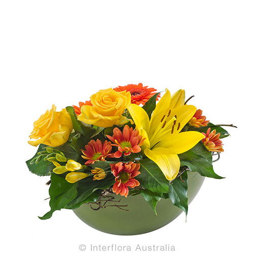 Citrus - Spearwood Florist