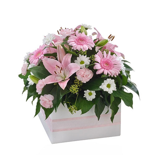 Softness - Spearwood Florist