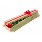 First Kiss - Spearwood Florist