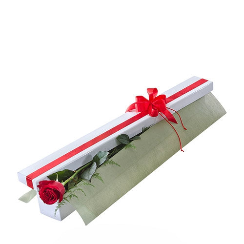 First Kiss - Spearwood Florist