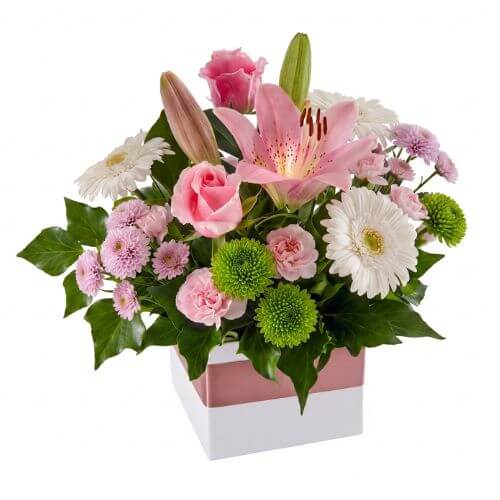 Sweetly - pink, wite and green flower arragement in white box