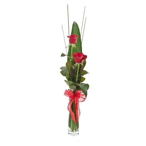 Flirt - Spearwood Florist