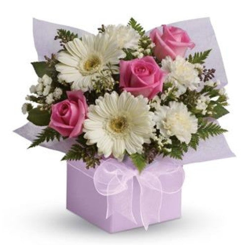 Sweet Thoughts - Spearwood Florist
